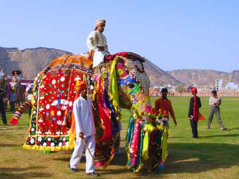 Scenic view of Jaipur, the Pink City, during a tour package