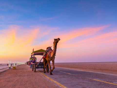 03 Days Bhuj-Kutch Tour Package