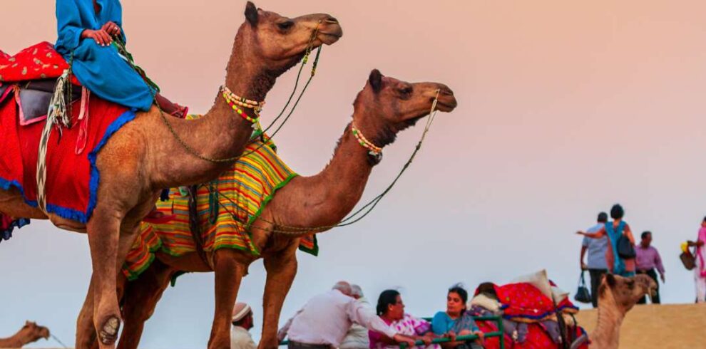 Camel ride across sand dunes during desert safari in Jaisalmer