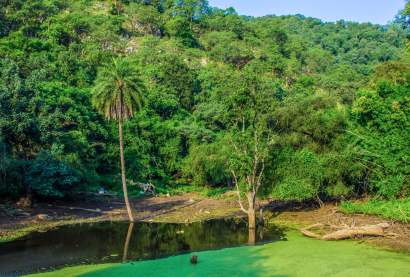 Sariska Tiger Reserve